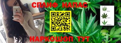 сатива Кумертау