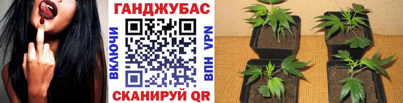 Бошки марихуана Bruce Banner  купить наркоту  Курчатов 